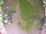 image of grave number 58042